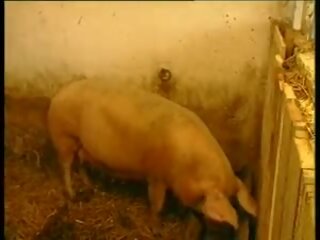 에스 lebe das landleben - baeuerin 메신저 schweinestall gefickt